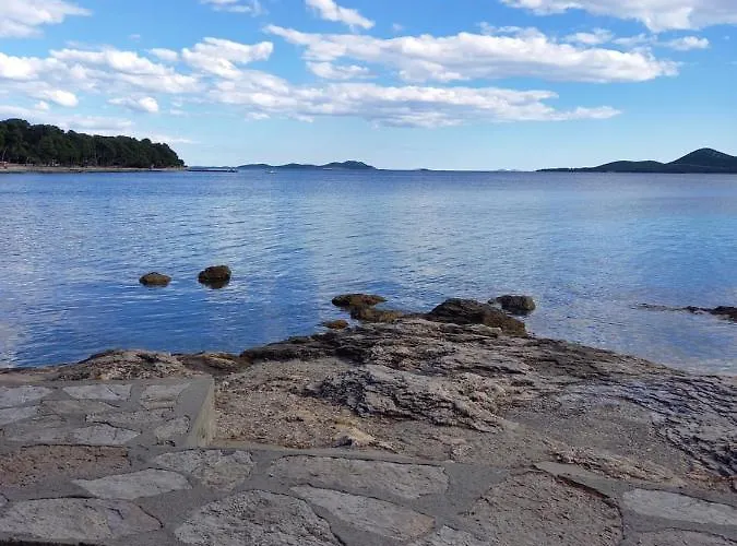 Mobile Agava Kamp alanı